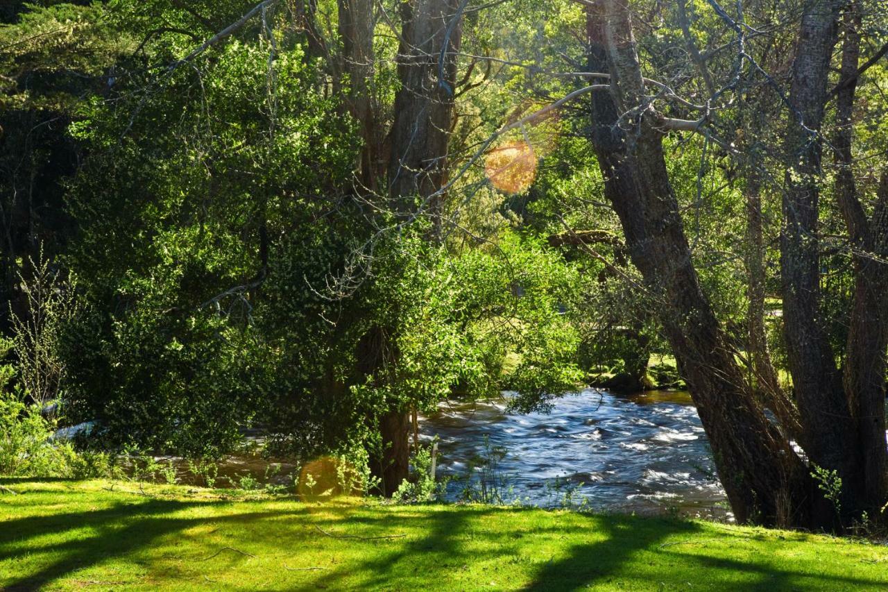 Russell Falls Holiday Cottages National Park Exterior photo