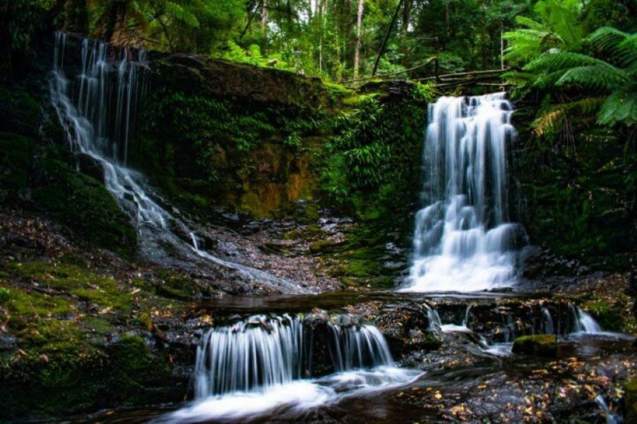 Russell Falls Holiday Cottages National Park Exterior photo
